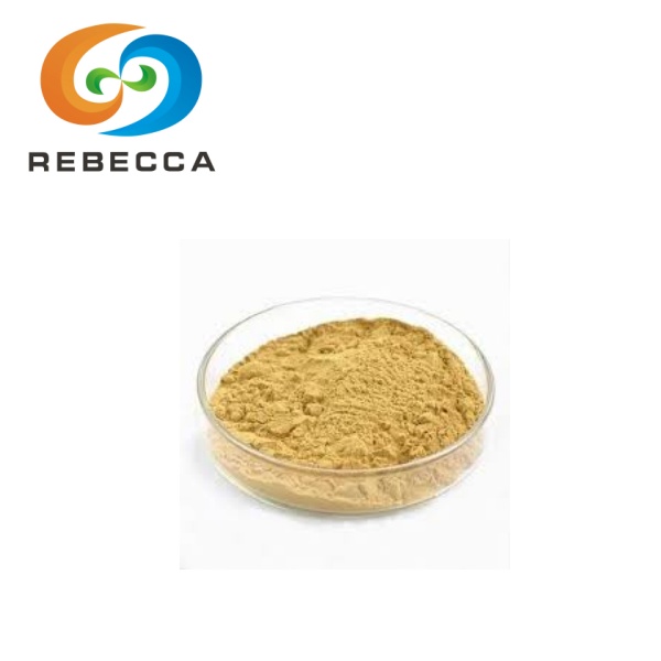 Dried Yeast Extract